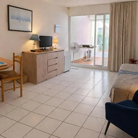 Grand F2 40 M2 Centre Port, Loggia 5m2, Vue Jardin, Belle Terrasse, Parking Privé Appartamento Agde