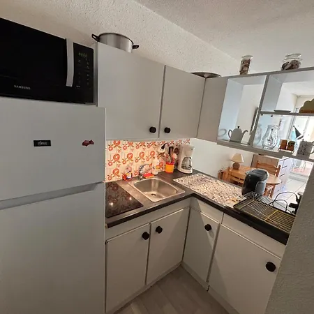 Grand F2 40 M2 Centre Port, Loggia 5m2, Vue Jardin, Belle Terrasse, Parking Privé Appartamento Agde